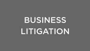 Business Litigation